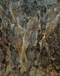 Display